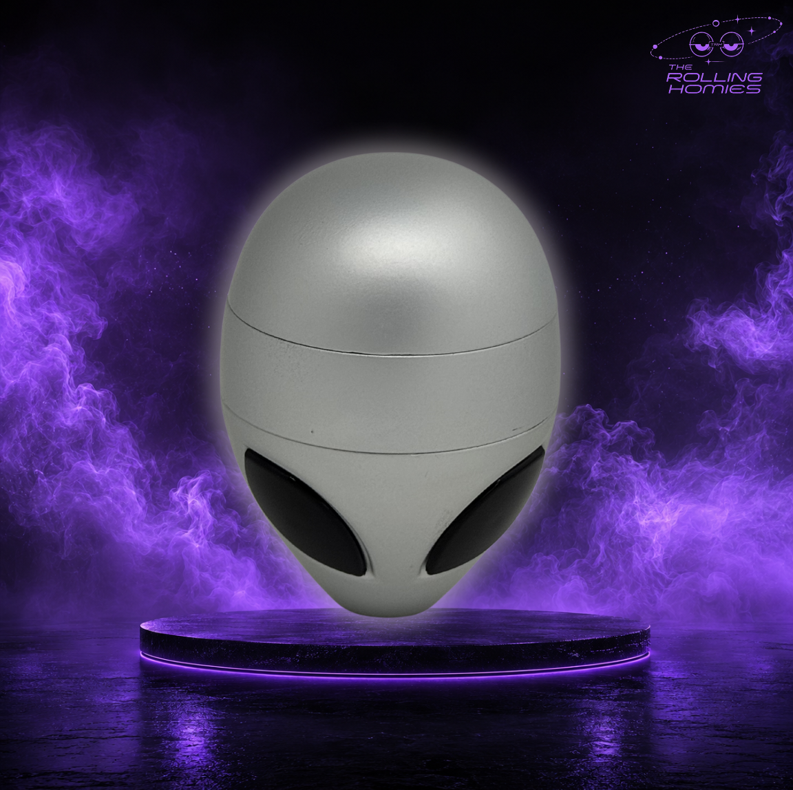 THE VISITOR