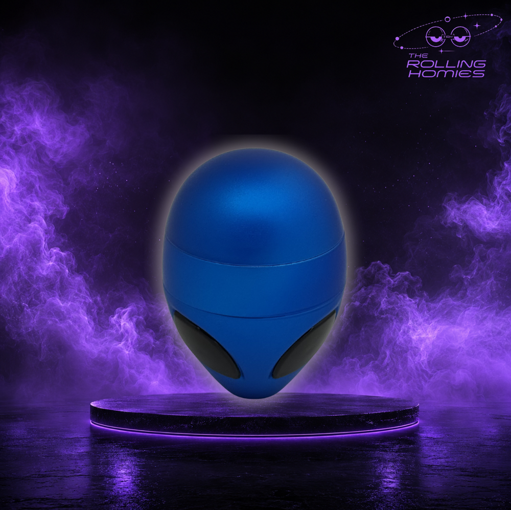 THE VISITOR